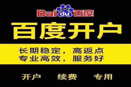 SEO与SEM服务结合的实战案例